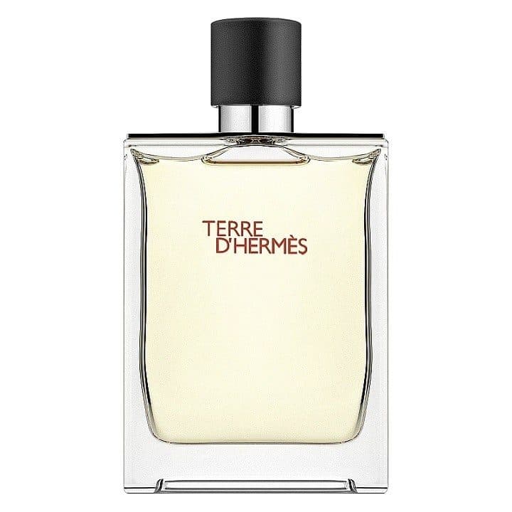 Туалетна вода чоловіча Hermes Terre d'Hermes, 100 ml