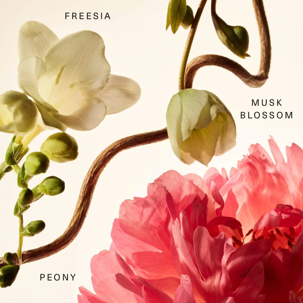 Rare Beauty Floral Peony Blossom Fragrance Layering Balm