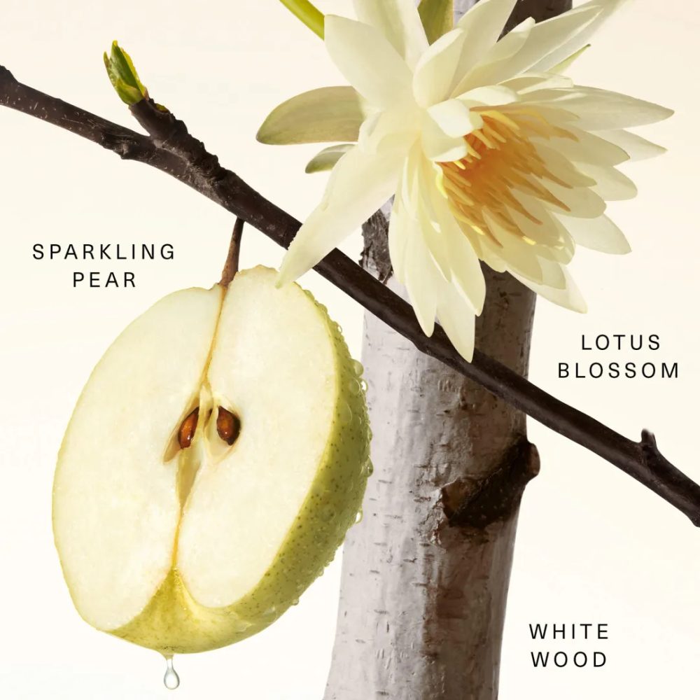 Rare Beauty Fragrance Layering Balm – Fruity Pear