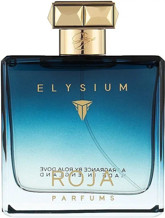 Парфуми чоловічі Roja Elysium Pour Homme Parfum, 100 ml