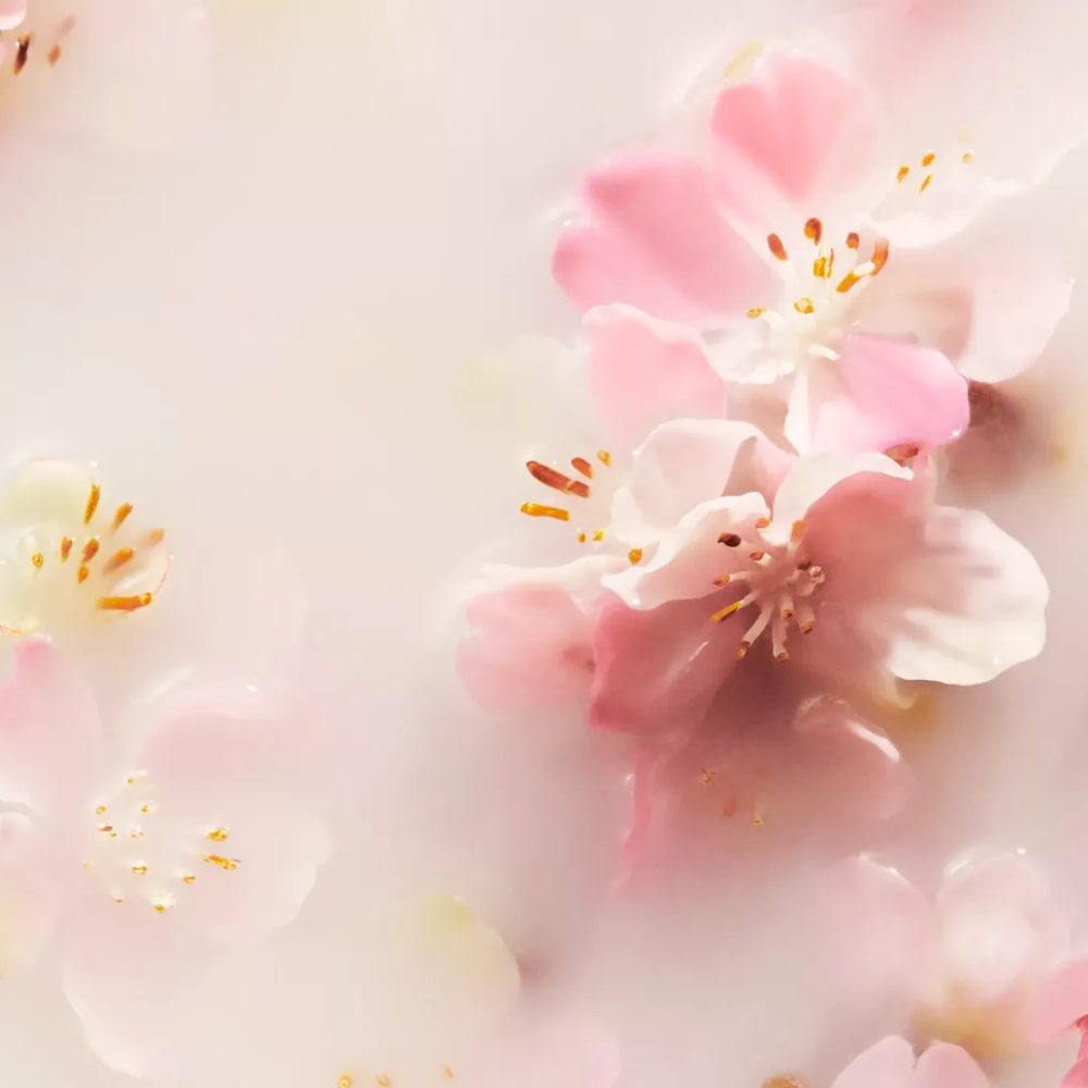 Rituals The Ritual of Sakura Dry Oil Body & Hair