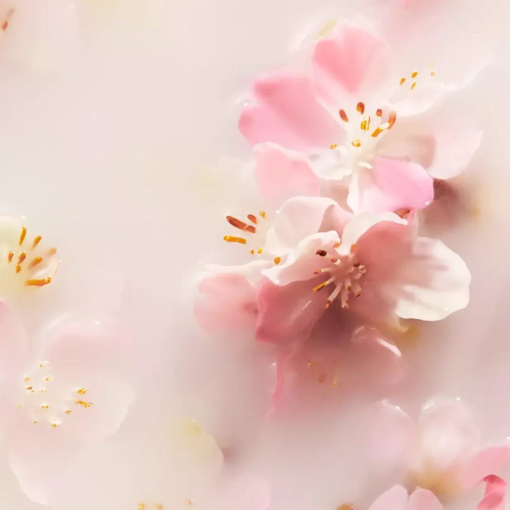 Rituals The Ritual of Sakura Hand Balm