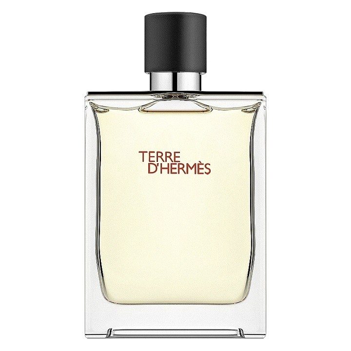 Туалетна вода чоловіча Hermes Terre d'Hermes, 100 ml