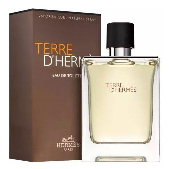 Туалетна вода чоловіча Hermes Terre d'Hermes, 100 ml