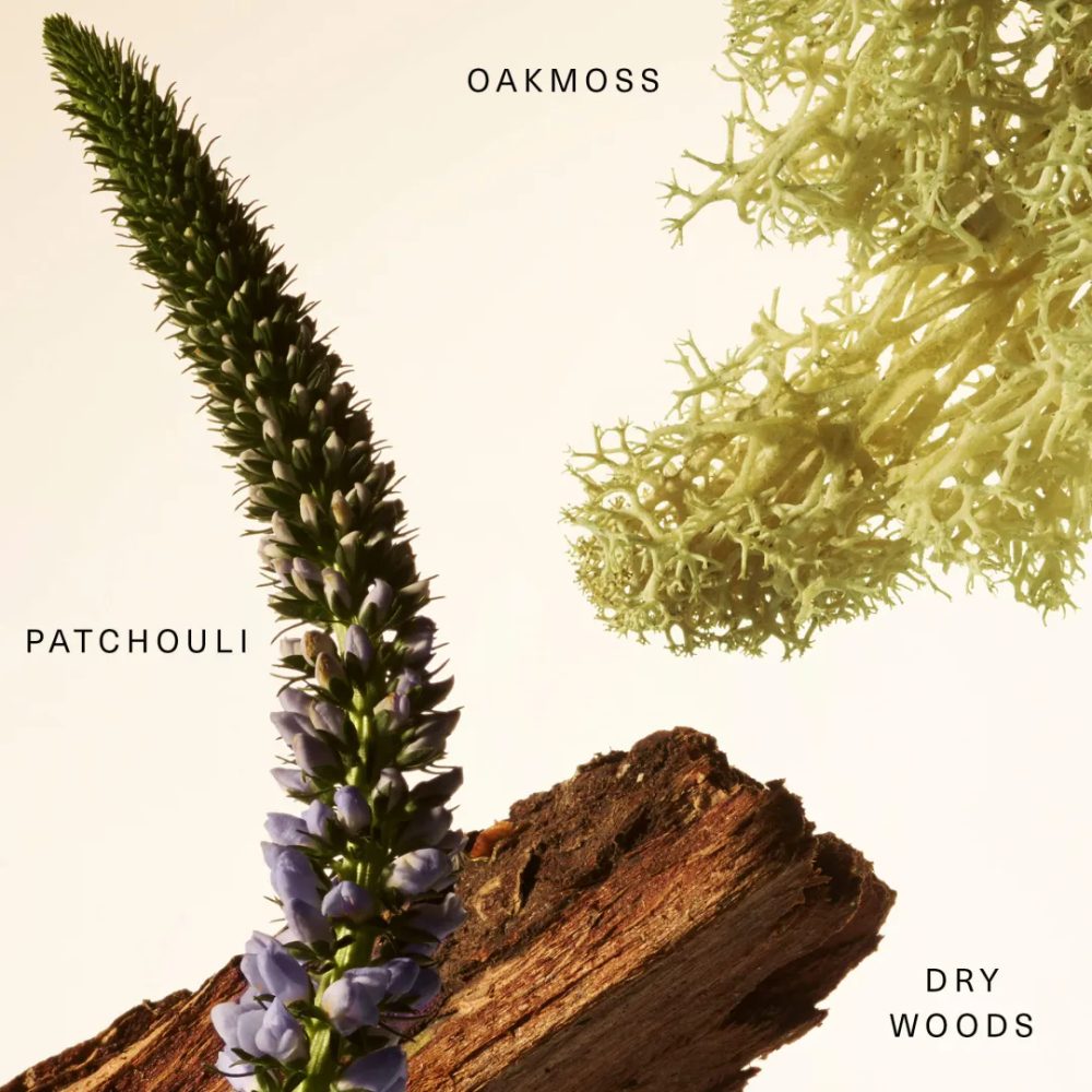 Rare Beauty Woody Oak Fragrance Layering Balm